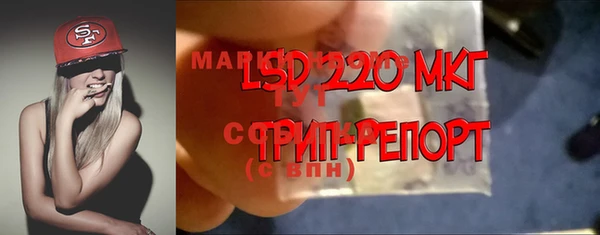 PSILOCYBIN Абаза