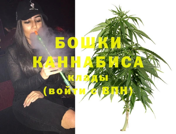 PSILOCYBIN Абаза