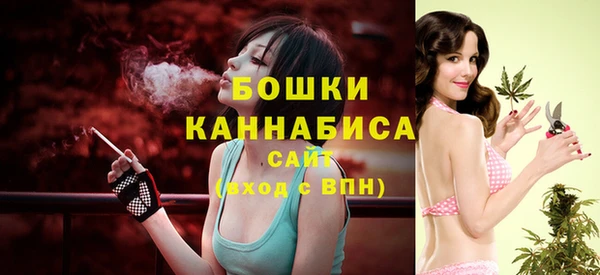 PSILOCYBIN Абаза