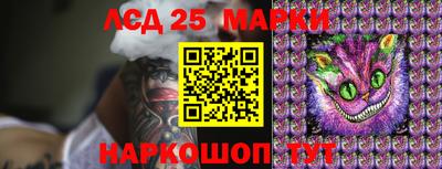 гидропоника Анапа