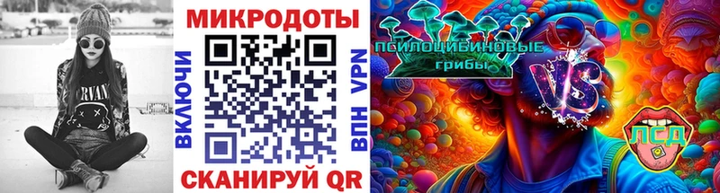 Галлюциногенные грибы Psilocybine cubensis  Благодарный 