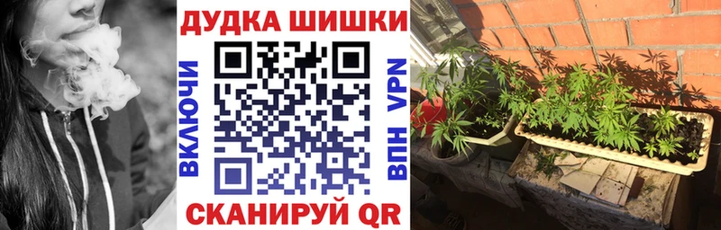 купить наркотики цена Благодарный Бошки марихуана MAZAR