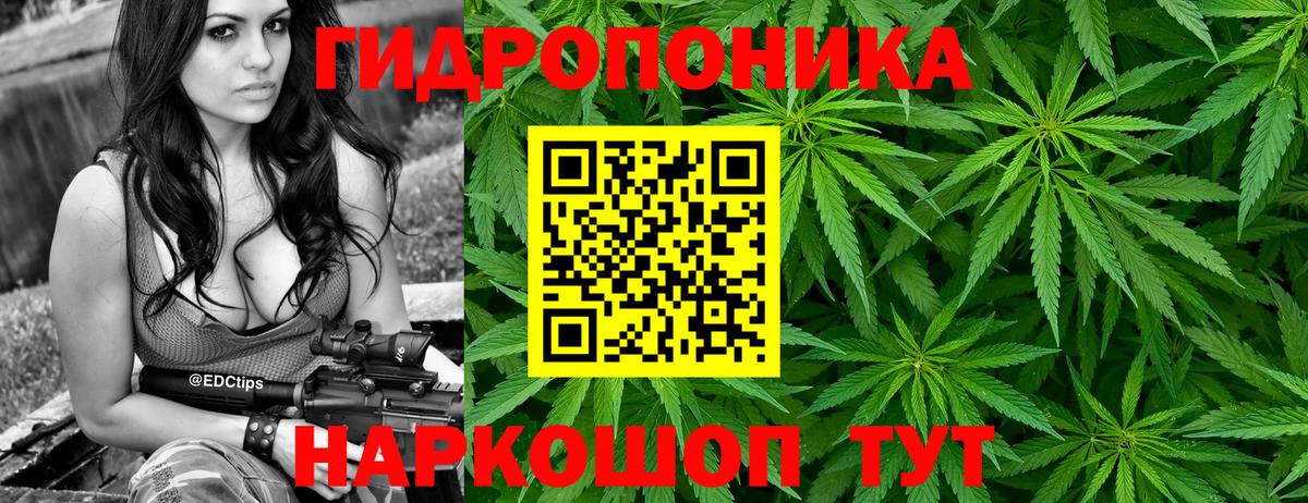 Шишки марихуана планчик  Марихуана Ganja  Вход с VPN  Бошки марихуана LSD WEED  Благодарный 